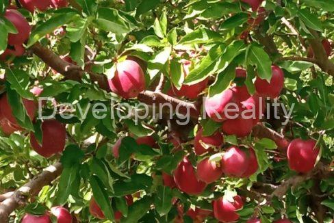 0-02-0b-06e5257c36fc5bfc57fee661a1f35505e27124f30503cb2b7db2e38c060b0932_ae9fba93ced5314c