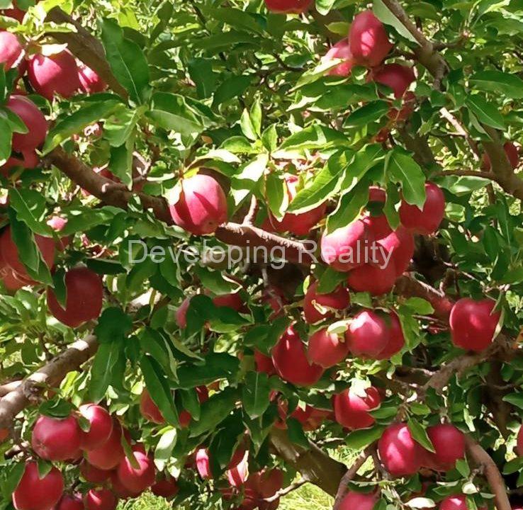 0-02-0b-06e5257c36fc5bfc57fee661a1f35505e27124f30503cb2b7db2e38c060b0932_ae9fba93ced5314c