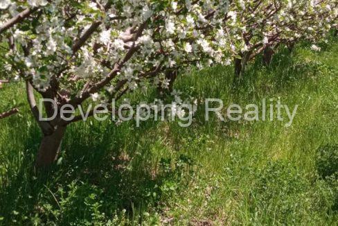 0-02-0b-4229bce33c794ee20af12c6abde5f3672035d18fb1e0197f54680c8e48f8174a_522d8c730bda923e