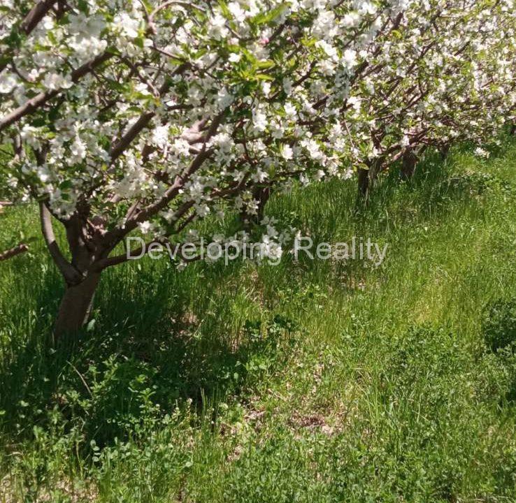 0-02-0b-4229bce33c794ee20af12c6abde5f3672035d18fb1e0197f54680c8e48f8174a_522d8c730bda923e